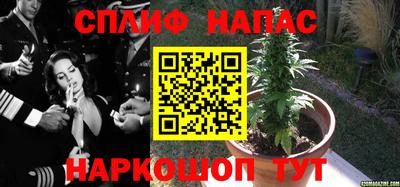 ПСИЛОЦИБИНОВЫЕ ГРИБЫ Ипатово