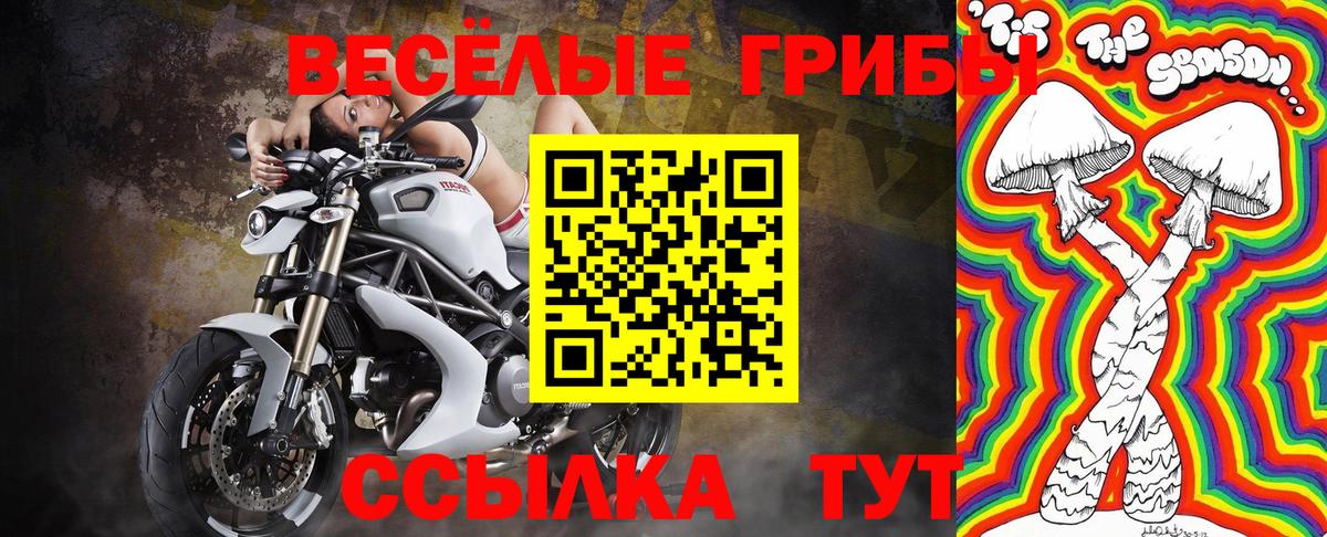 Галлюциногенные грибы мицелий Краснознаменск